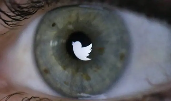 twittereye