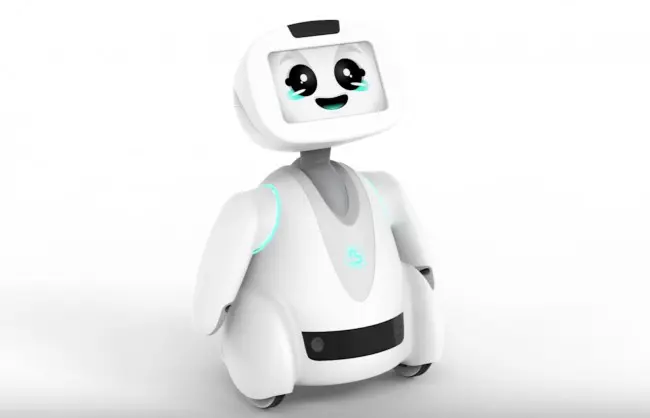 buddy