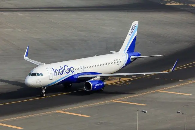 indigo