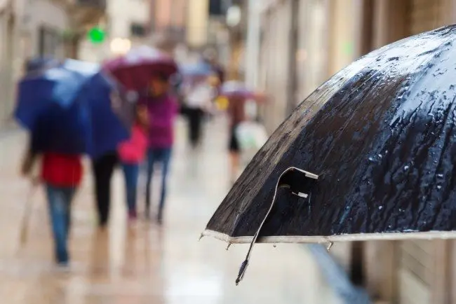 rain