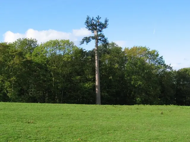 mobile-mast