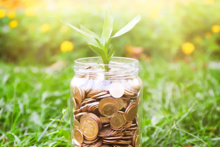 florist investment