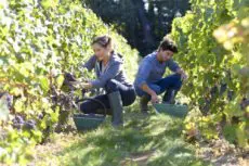seasonal jobs