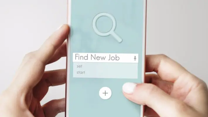 job search