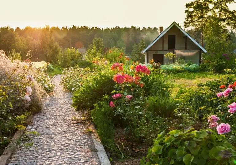 spring time