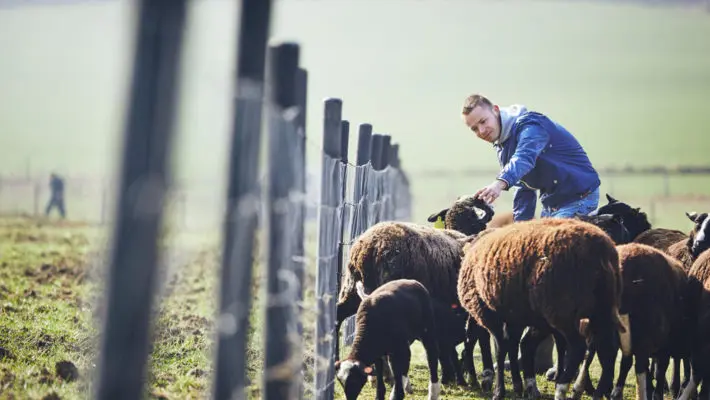 sheep farmer