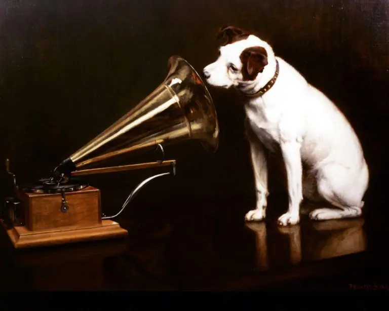 HMV Collapse