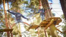 Go Ape