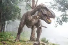 Dinosaur