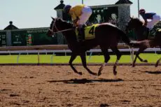 Horse racing