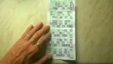 Bingo