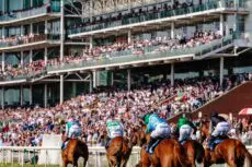 Sports Betting