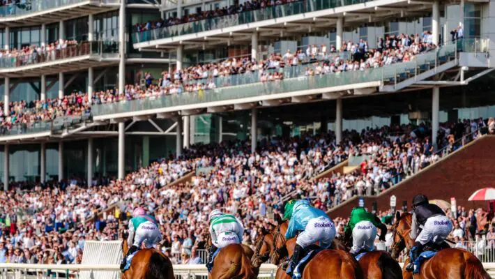 sports betting