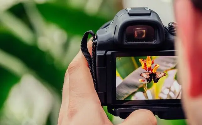 How-to-Make-Money-with-Photography-10-Best-Ways-in-2020-4