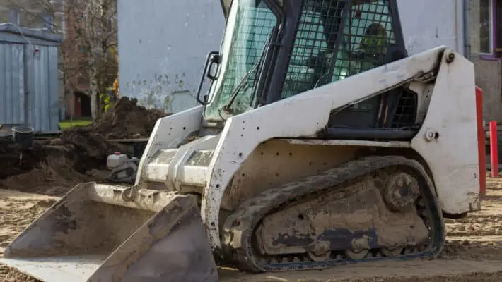 Bobcat