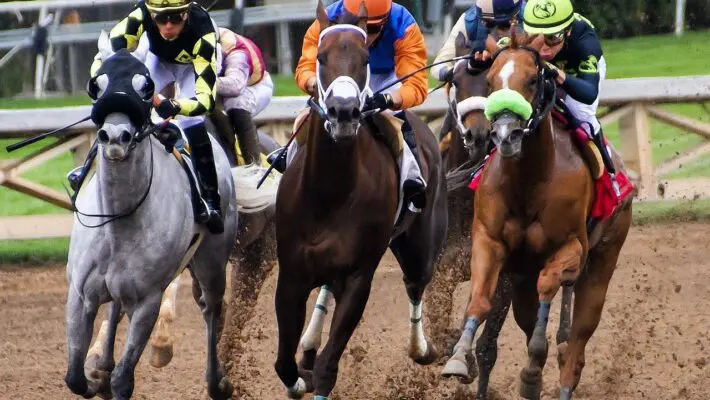 Gambling as a business