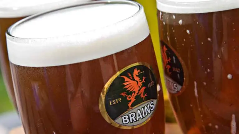 Brains