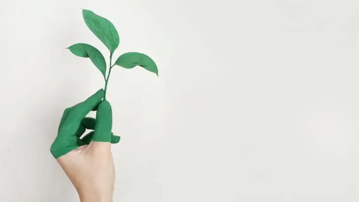 green business