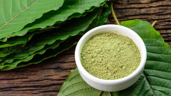 Mitragynina,Speciosa,Or,Kratom,Leaves,With,Powder,Product,In,White