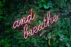 Know the difference between stress and anxiety and how to manage them | Cherry Martin