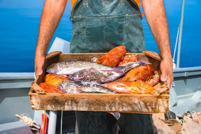 fisherman