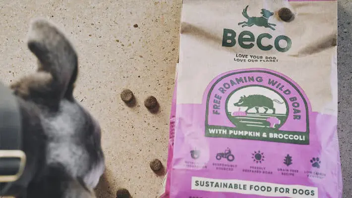 Beco Foods