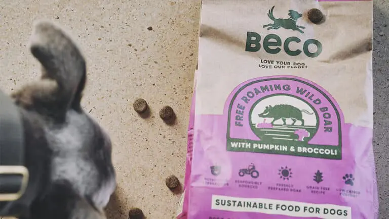 Beco Foods