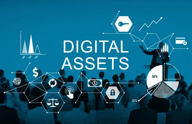 Digital,Assets,Business,Management,System,Concept
