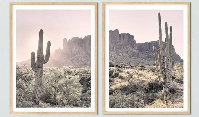 Cactus and Lime
