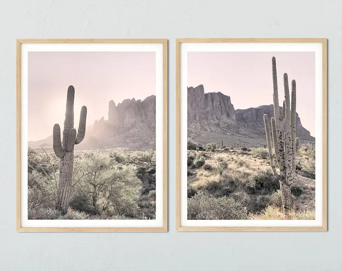 Cactus and Lime