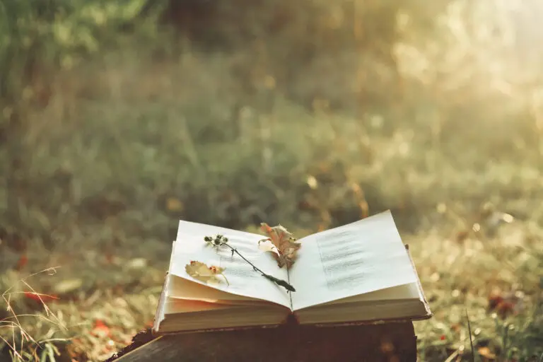 Book,Of,Poetry,Outdoors,With,Flower,On,It