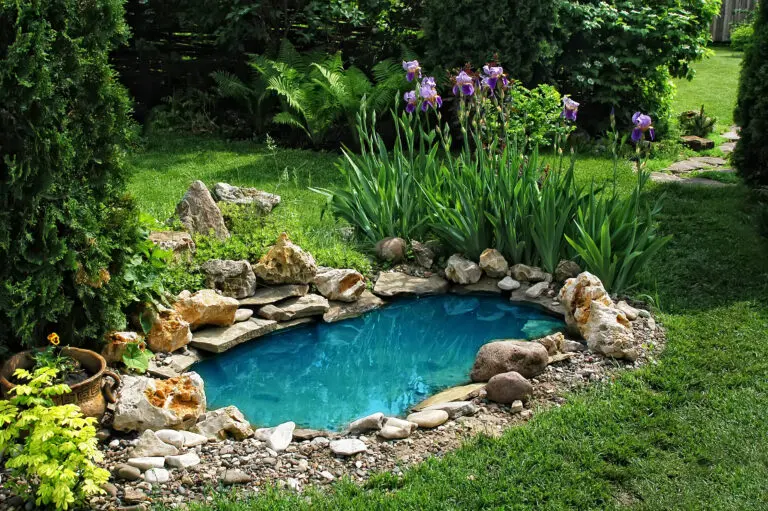 Small,Pond,On,A,Summer,Day,In,The,Garden