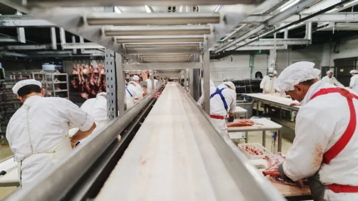 meat processing