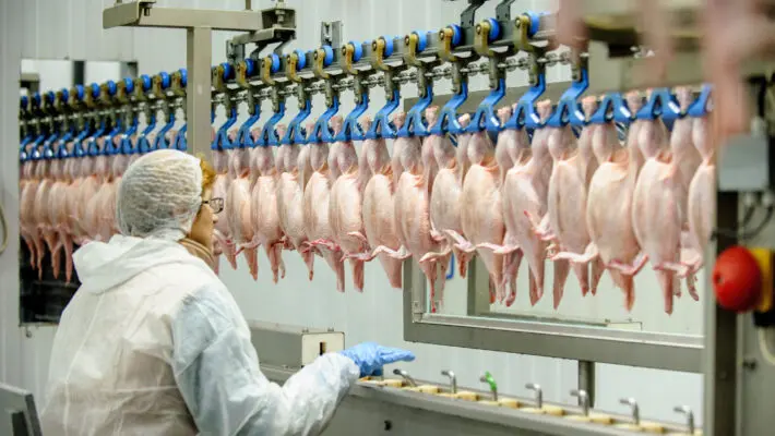 Food processing