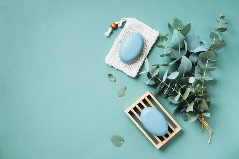 Wooden,Soap,Dish,,Soap,,Eucalyptus,Over,Green,Background.,Zero,Waste,