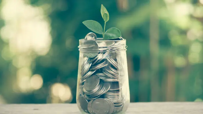 Plant,Growing,Out,Of,Coins,With,Filter,Effect,Retro,Vintage