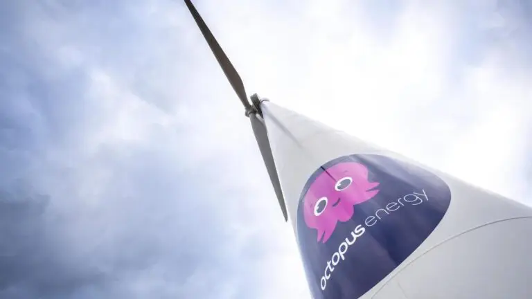 Octopus Hydrogen energy