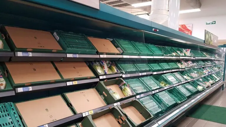 Empty Shelves
