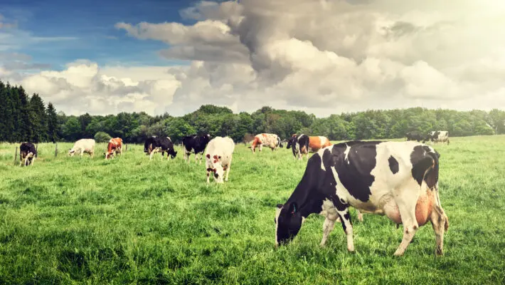 The UK may eventually need to implement a carbon dioxide border tax to stop consumers effectively exporting greenhouse gas emissions abroad, the environment secretary has said.