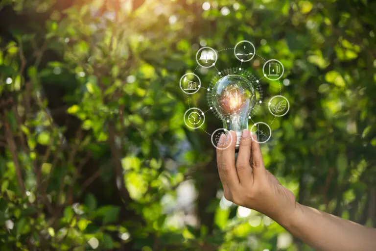 Light,Bulbs,That,Grow,,In,The,Concept,Of,Energy,In