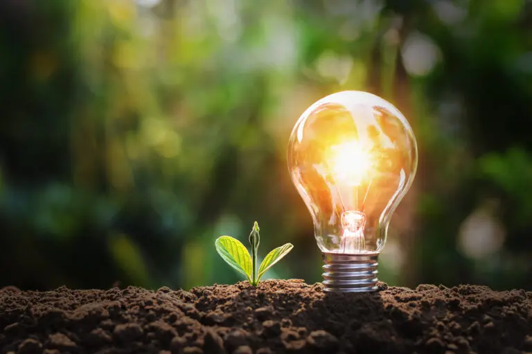 Lightbulb,With,Small,Plant,On,Soil,And,Sunshine.,Concept,Saving
