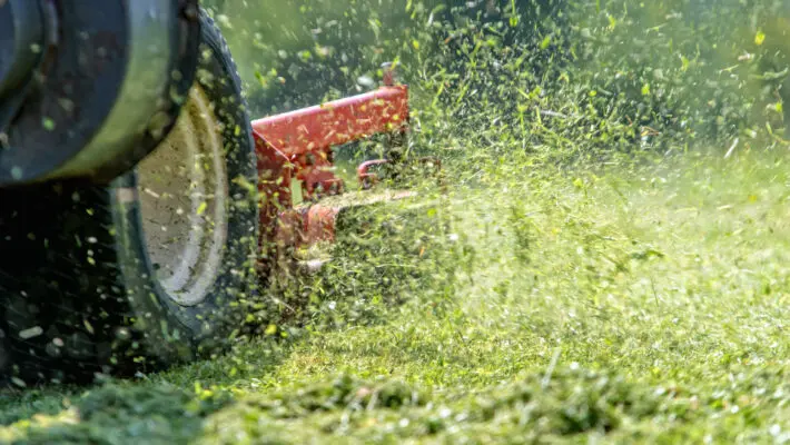Lawnmower,At,Work