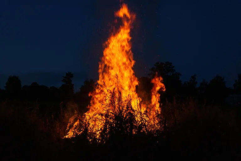 Rural,Landscape,,High,Flame,Of,Night,Bonfire,On,Dark,Background