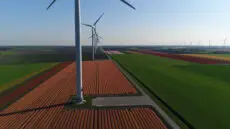 As Net Zero week continues, there are concerns that unsustainable business practices and inertia within industries may well lead to the downfall of our carbon neutral future.