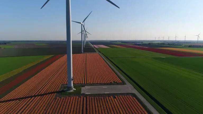 As Net Zero week continues, there are concerns that unsustainable business practices and inertia within industries may well lead to the downfall of our carbon neutral future.
