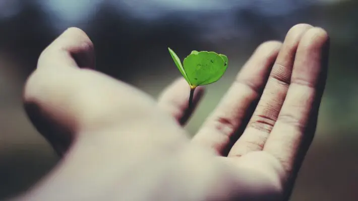 Sustainable Business Award finalists released | The Business Champion Awards 2023