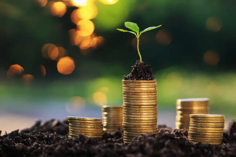 Return,On,Investment,Concept,And,Saving,Money,Seedling,On,A