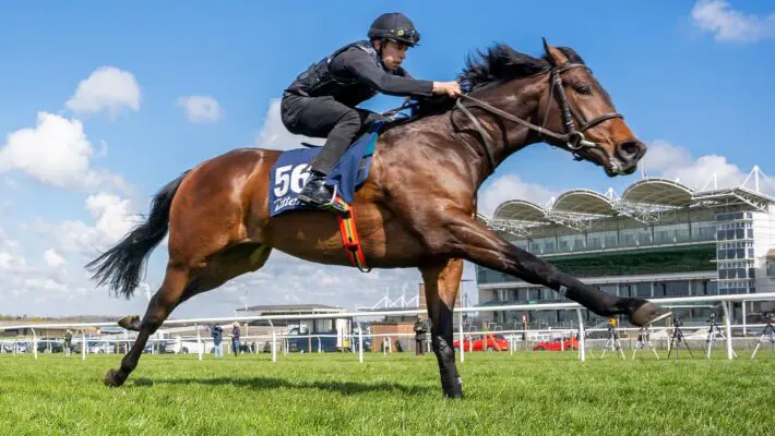 It is rare to find a more exhilarating experience than owning your own racehorse. The roar of the crowd as the horses gallop up the straight towards the finishing post, the sound of thundering hooves, and the swoosh of colourful silks flying past; the atmosphere is electric.