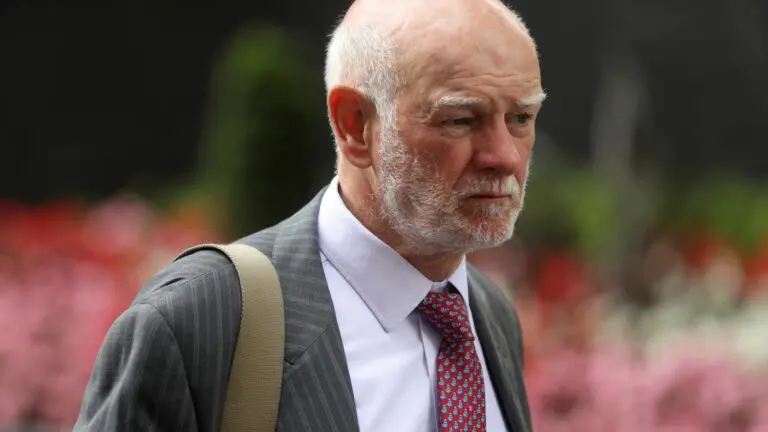 NatWest chairman Howard Davies to stand down next year