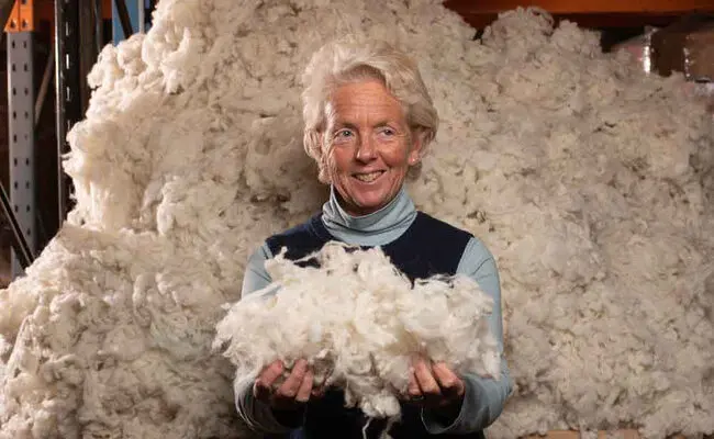 Royal Warrant holder launches - NEW! Sandringham Wool Collection of mattresses